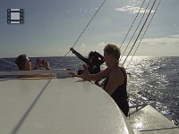 Monkey Man and the Boat